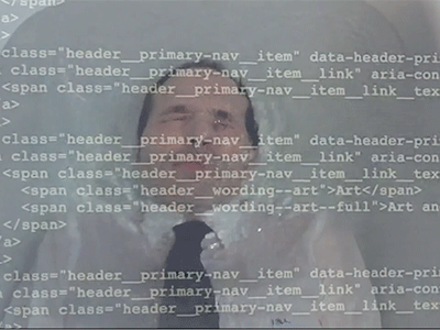 the net videowork