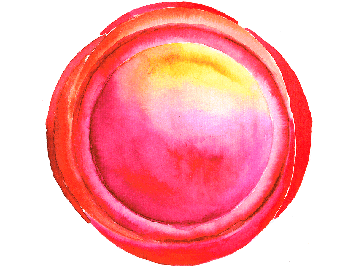 SD 4